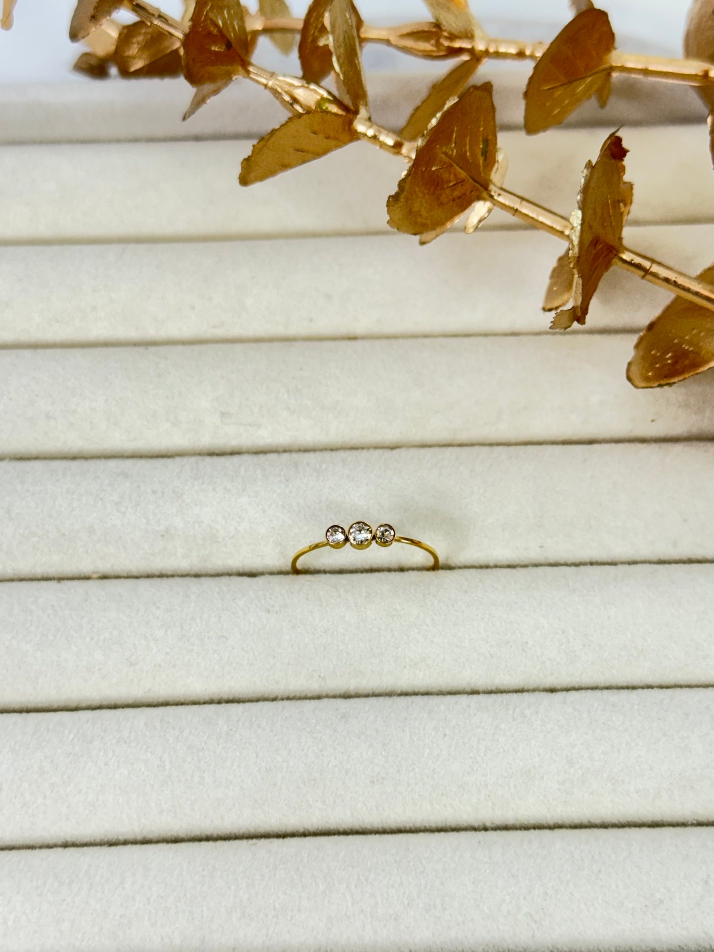 Ring 1312