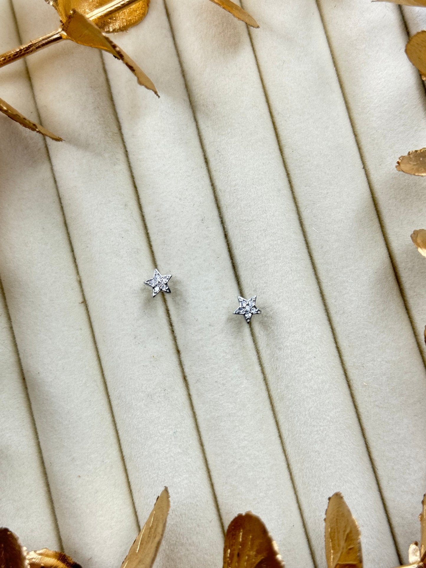 White Gold Earrings 1675