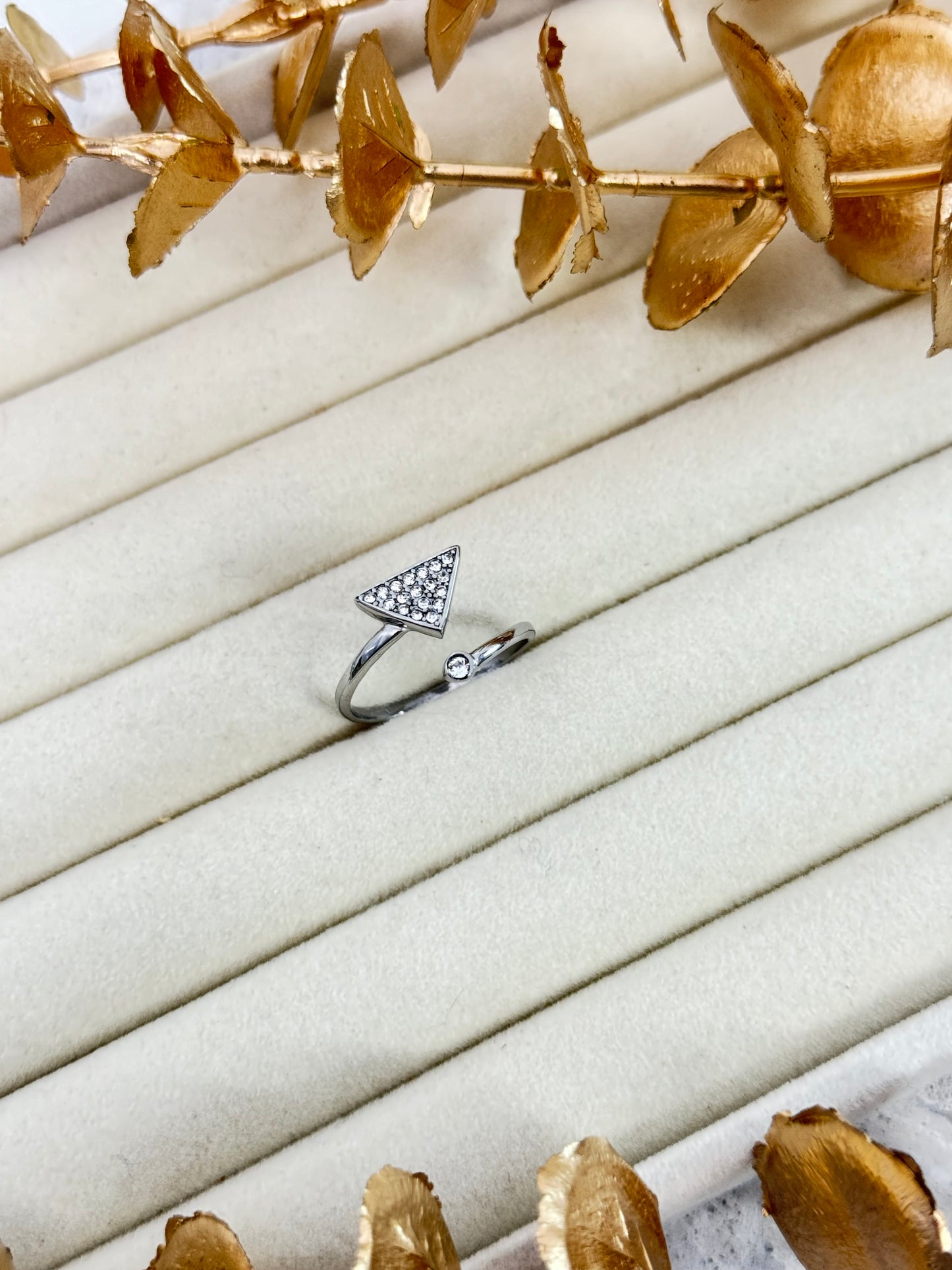 Pola in Silver | Ring 1344