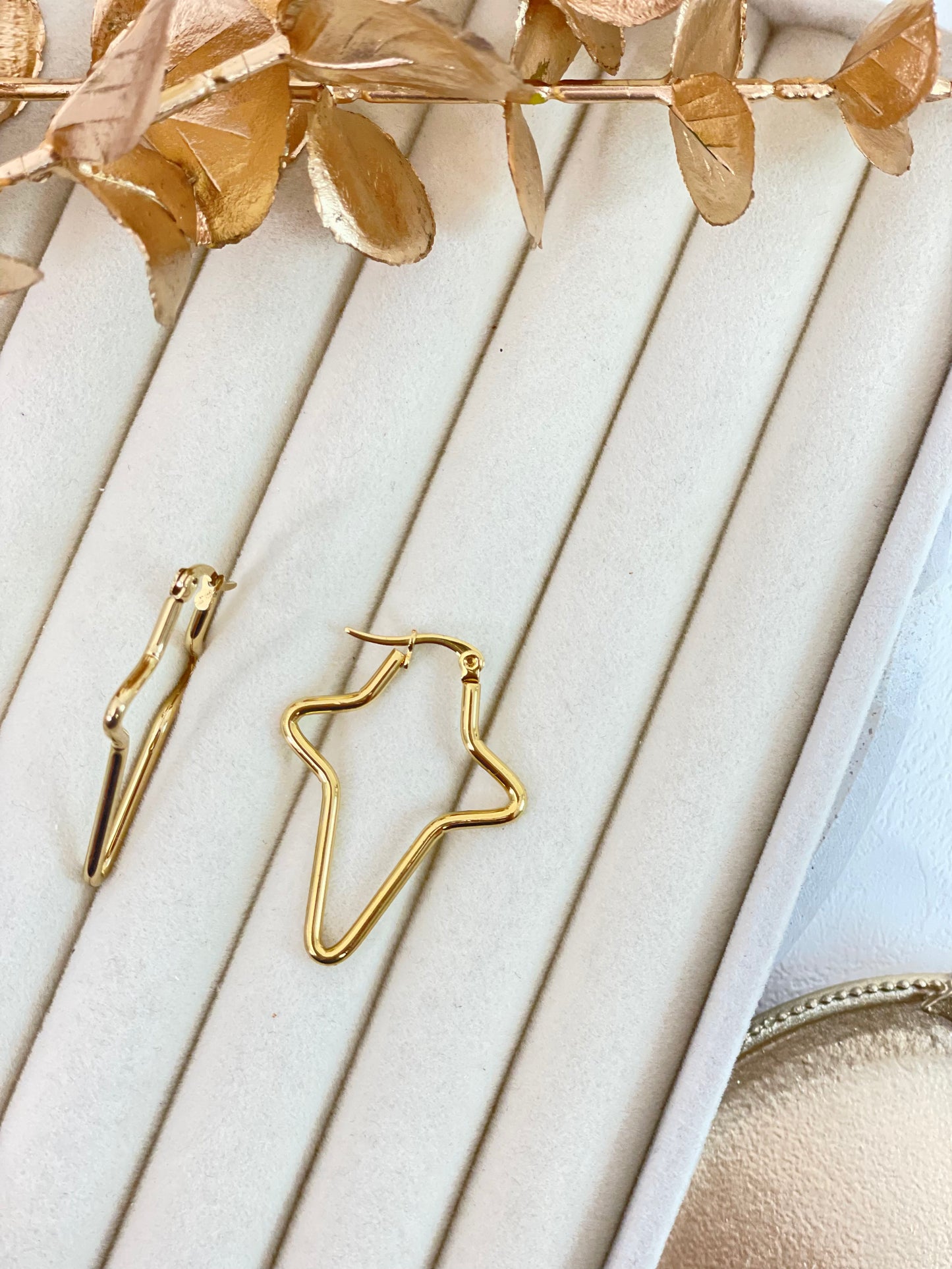 Earrings 989