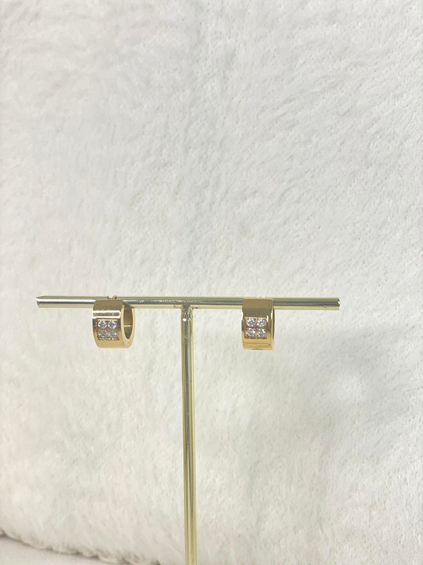 Earrings 1173