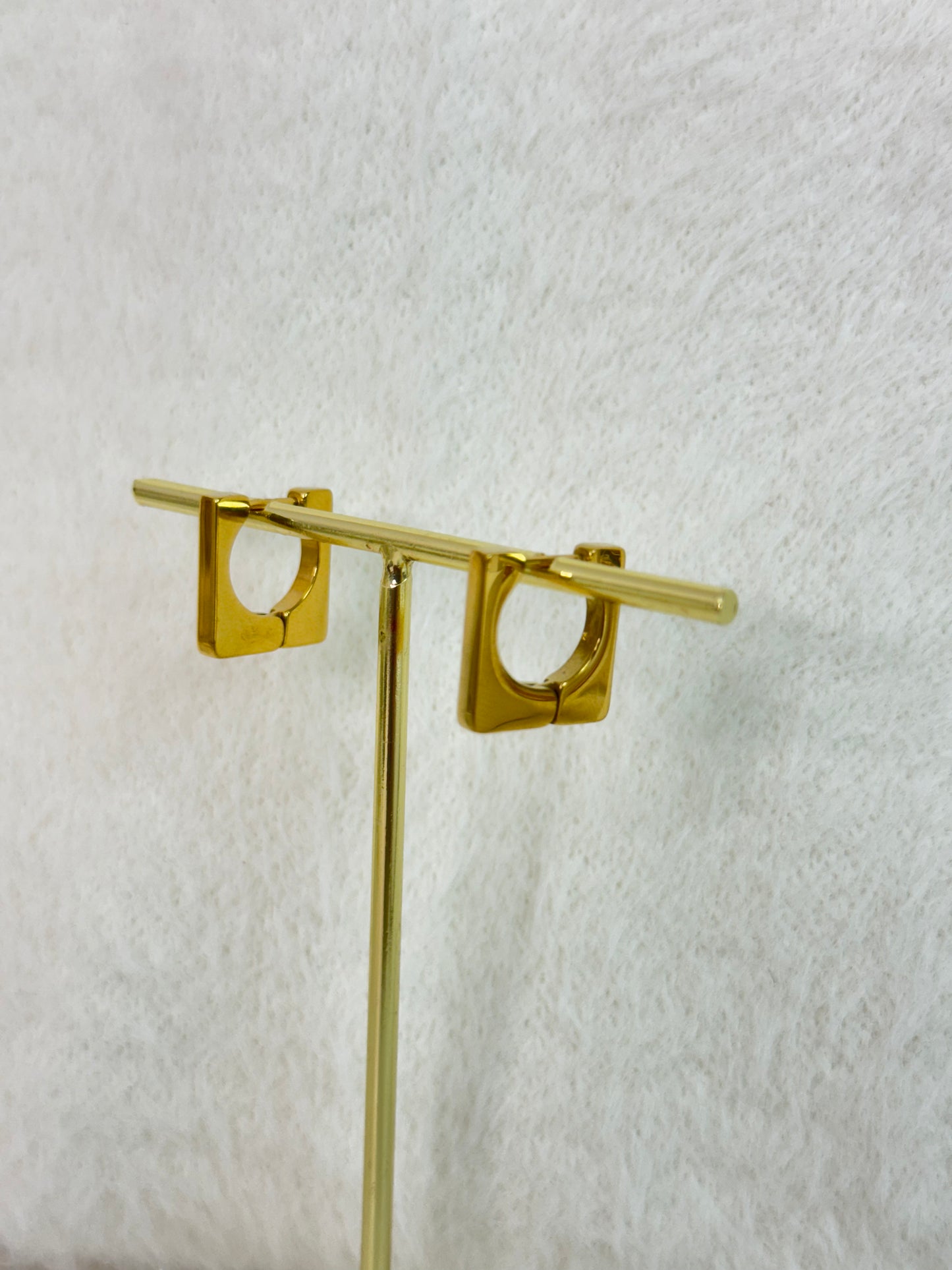 Earrings 1000