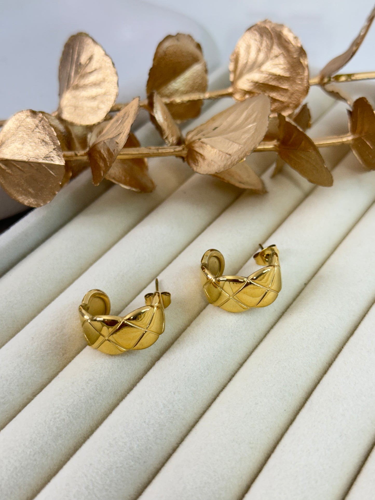 Earrings 1007