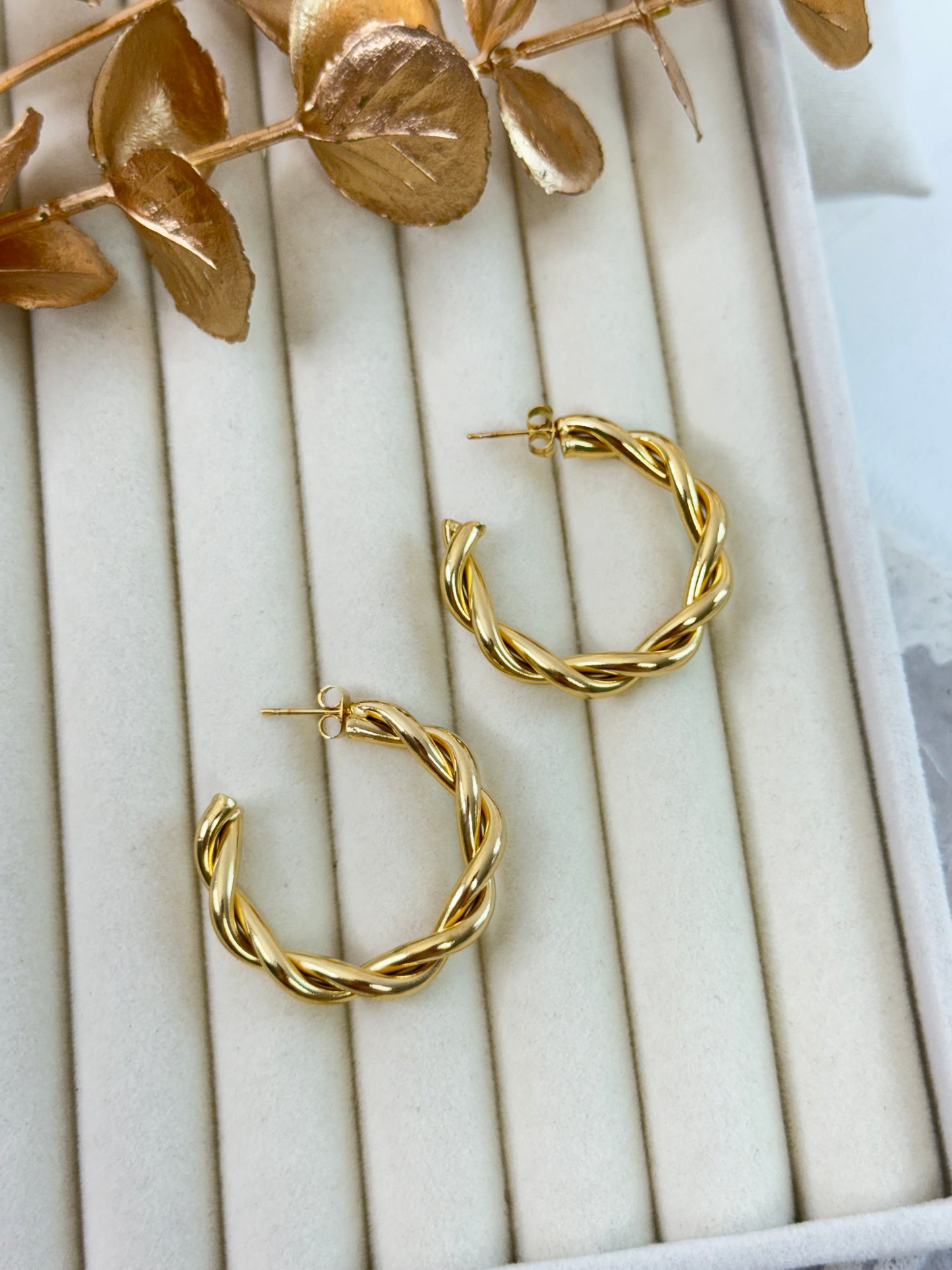 Earrings 1071