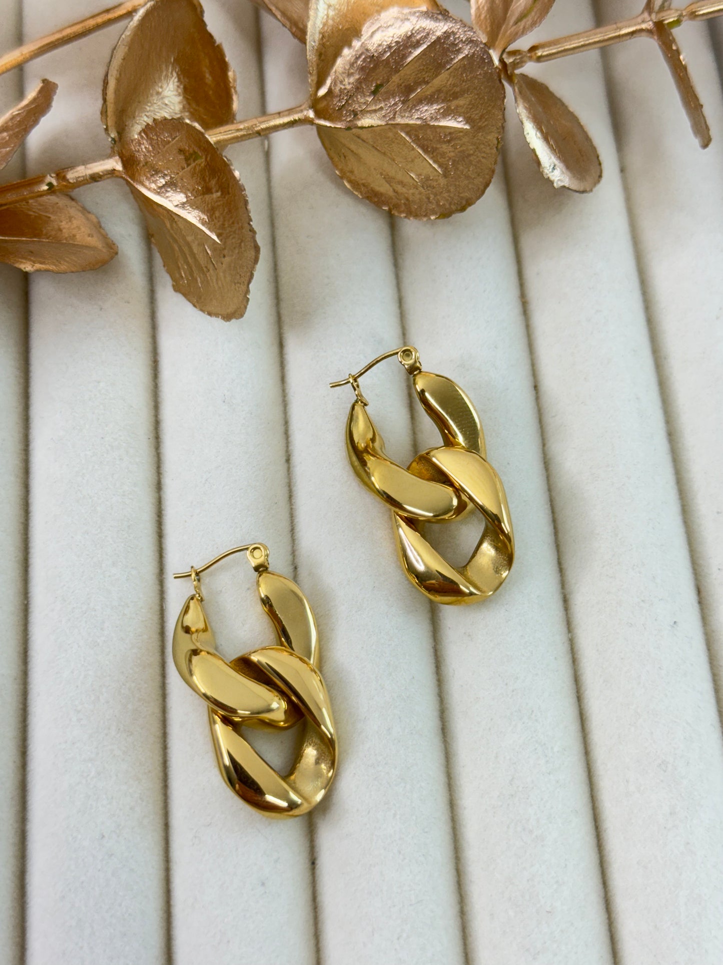 Earrings 1072