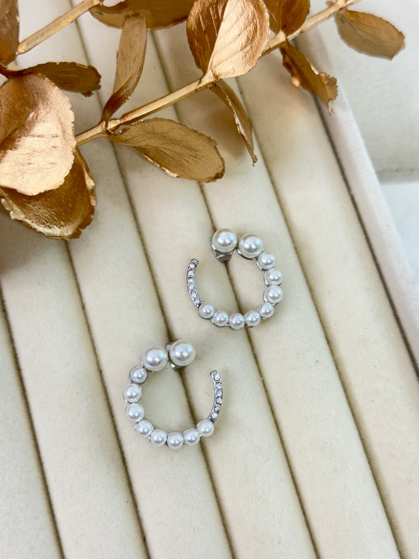 Earrings 1076