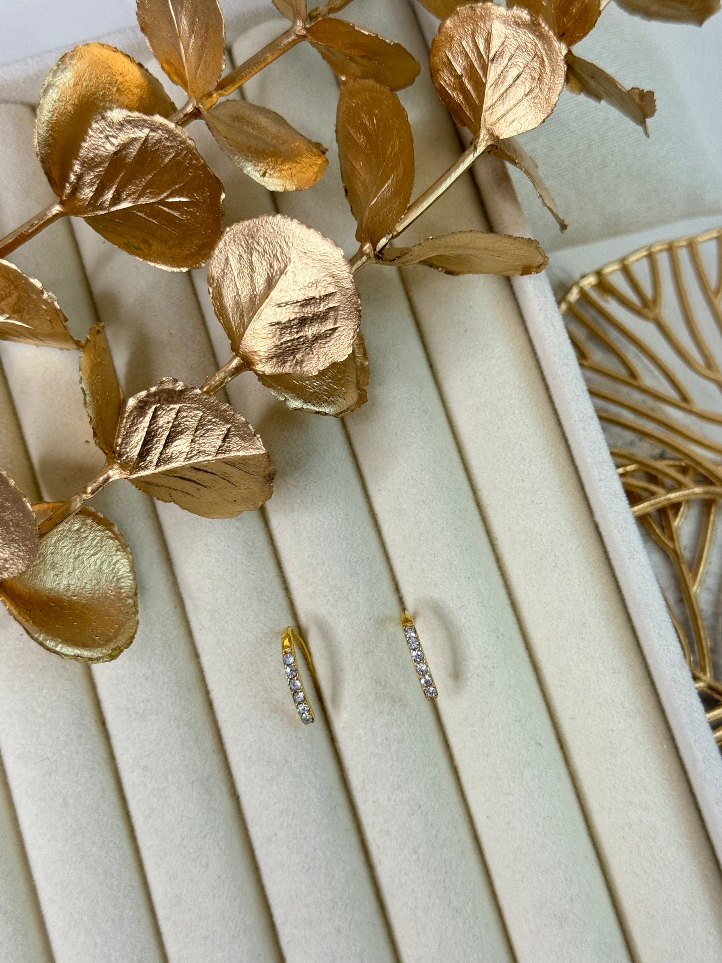 Earrings 1163