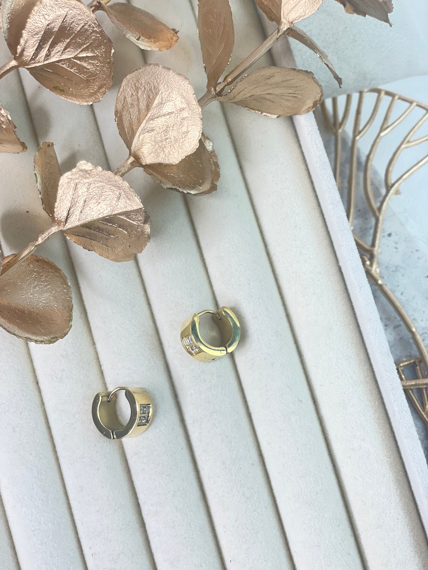 Earrings 1173