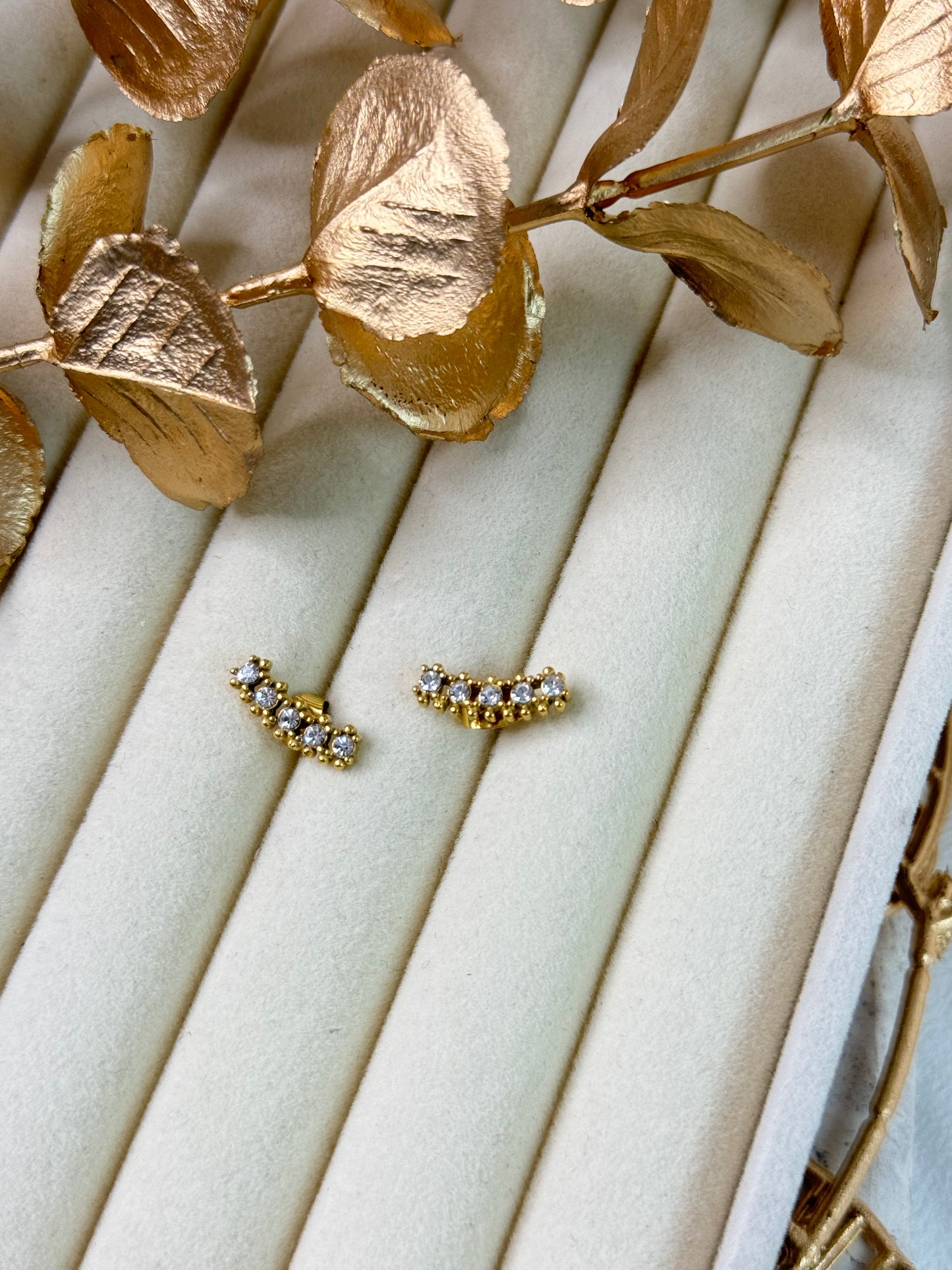 Levi Stud Earrings 1185