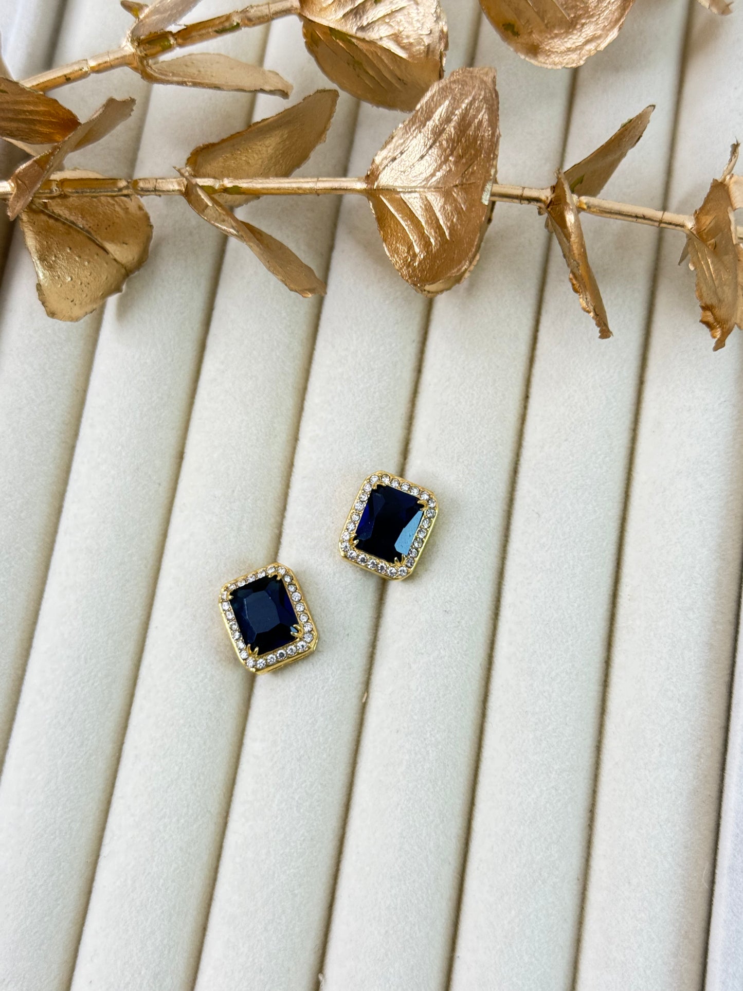 Earrings 1213