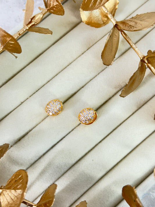Rose Gold Earrings 1634