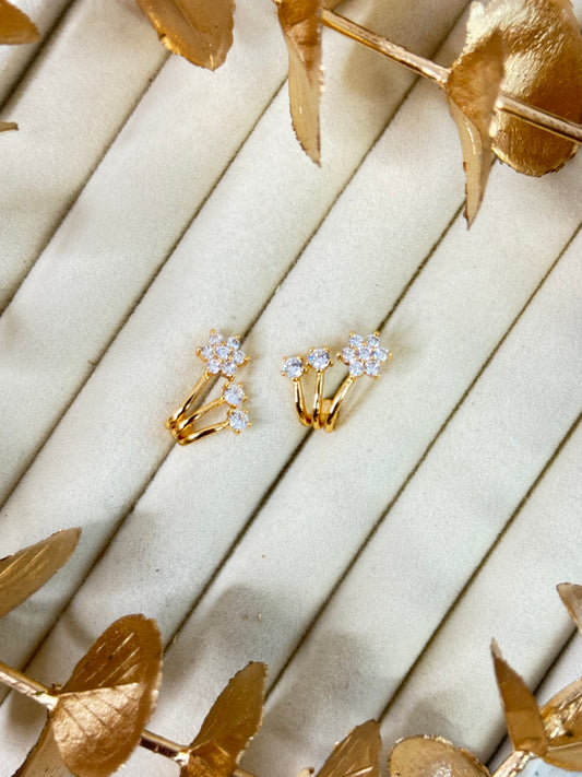 Rose Gold Earrings 1614