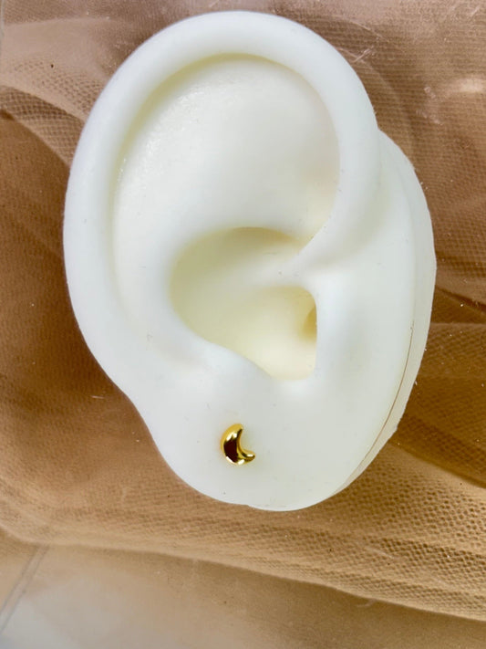 Yellow Gold Earrings 3844
