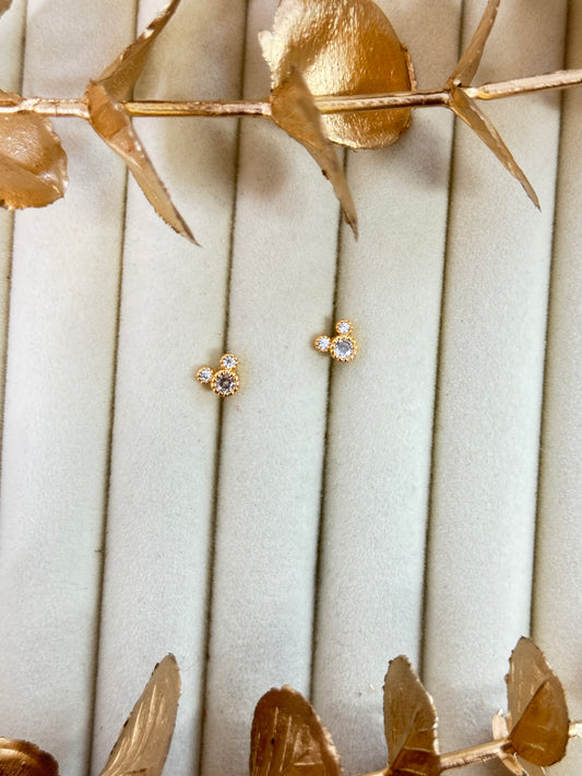 Rose Gold Earrings 1599