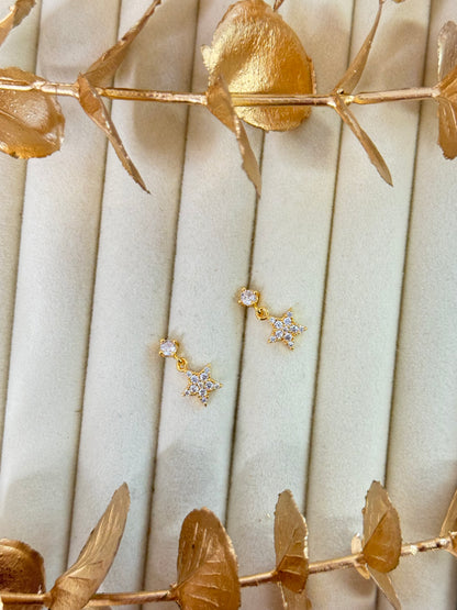 Rose Gold Earrings 1597