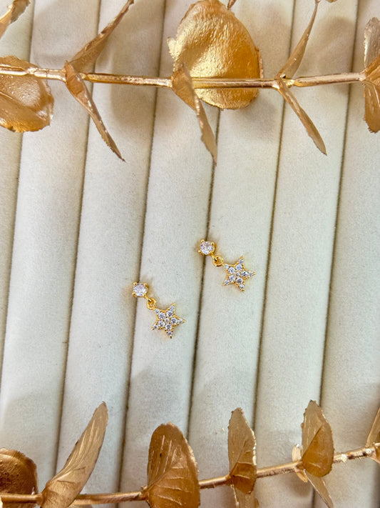 Rose Gold Earrings 1597