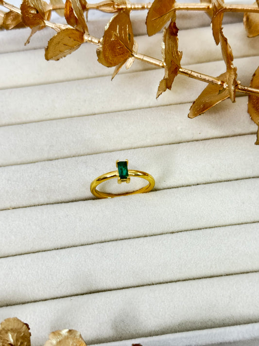 Ring 1348