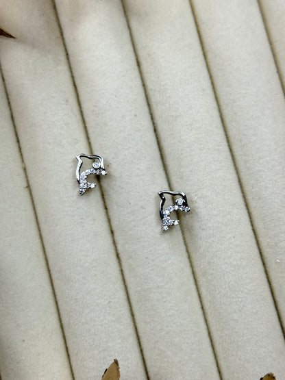 White Gold Earrings 1673