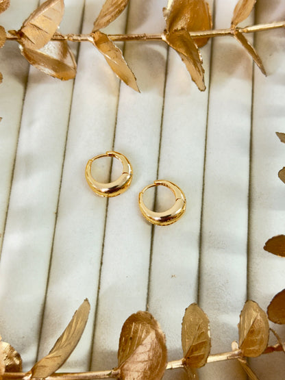 Rose Gold Earrings 1625