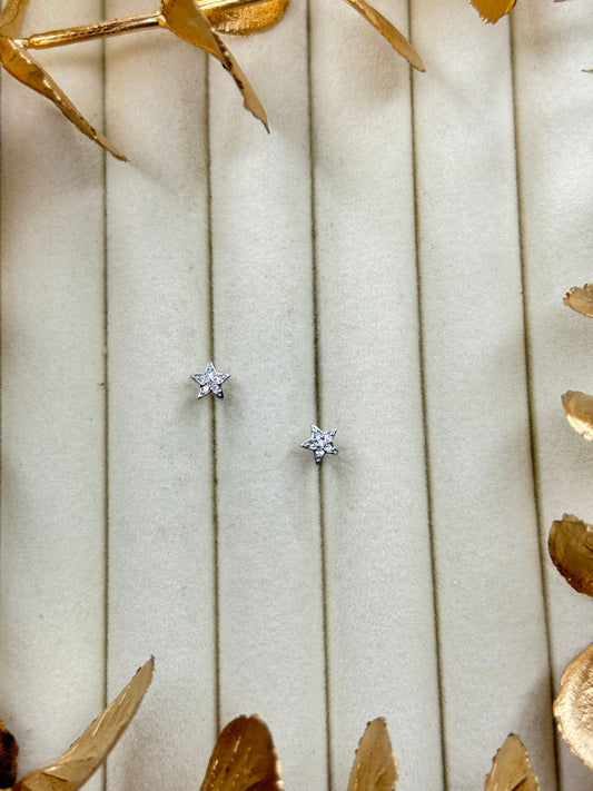 White Gold Earrings 1675