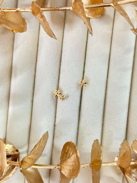 Rose Gold Earrings 1611