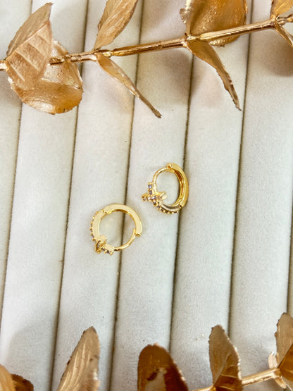 Rose Gold Earrings 1587