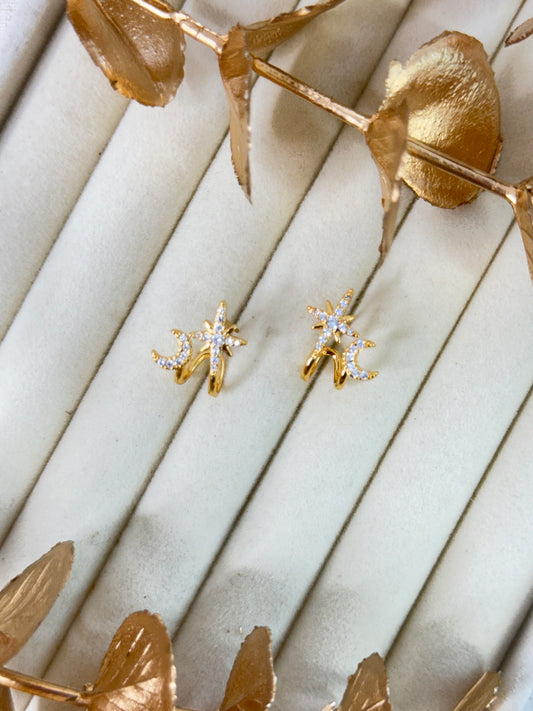 Rose Gold Earrings 1600