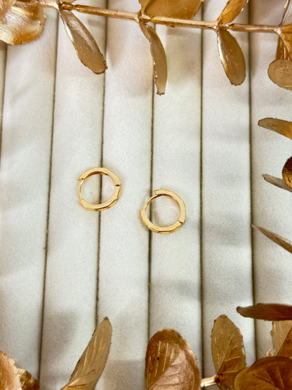 Rose Gold Earrings 1631