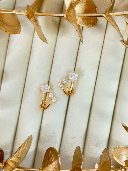 Rose Gold Earrings 1614