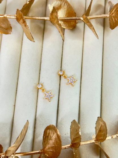 Rose Gold Earrings 1597
