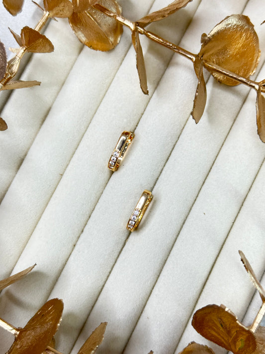 Rose Gold Earrings 1641