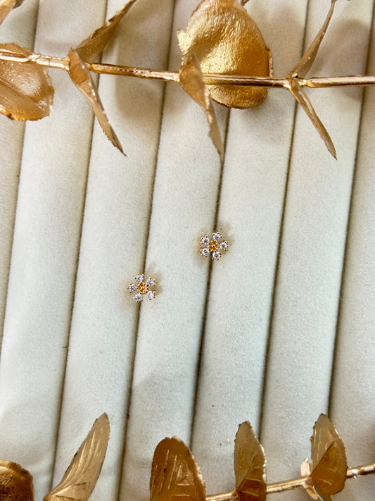 Rose Gold Earrings 1598