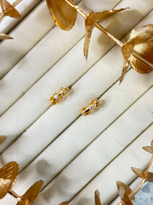 Rose Gold Earrings 1616