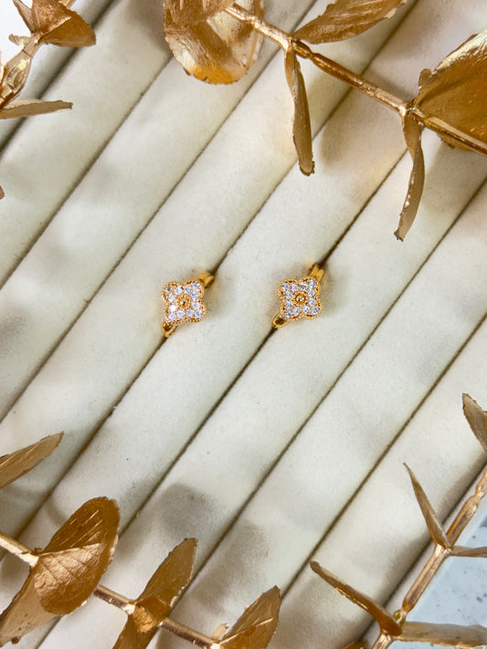 Rose Gold Earrings 1620
