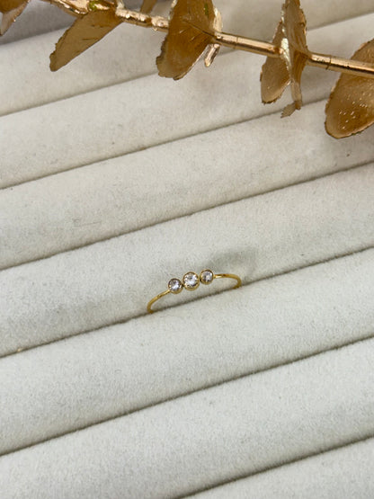 Ring 1312