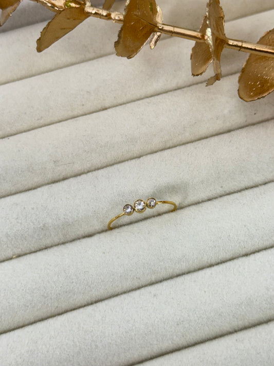 Ring 1312