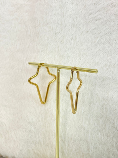 Earrings 989
