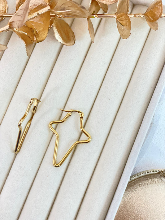 Earrings 989