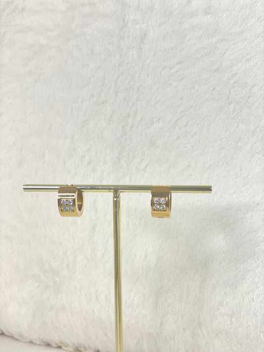 Earrings 1173