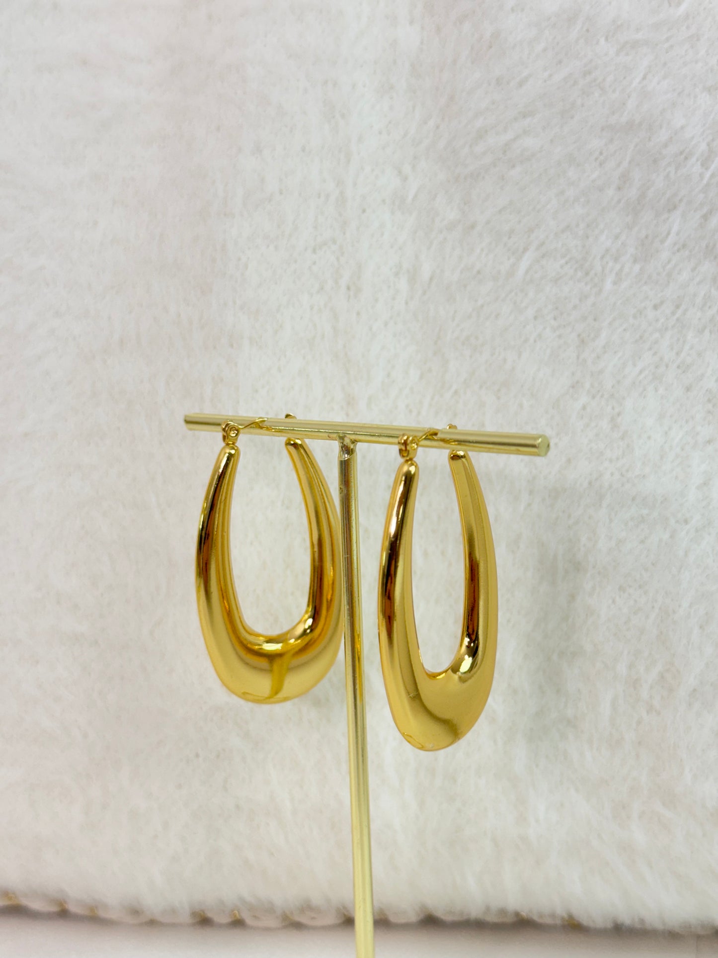 Earrings 1006