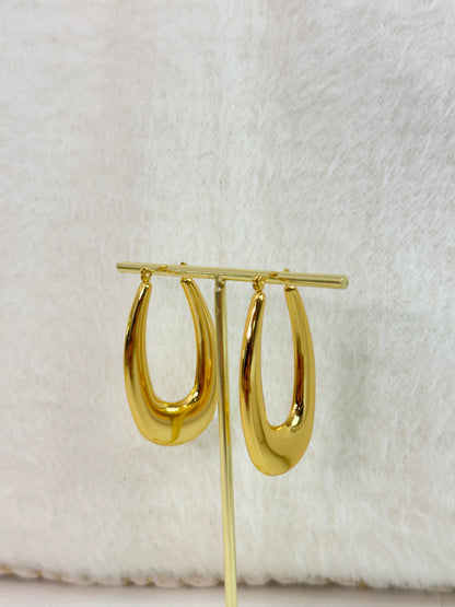Earrings 1006