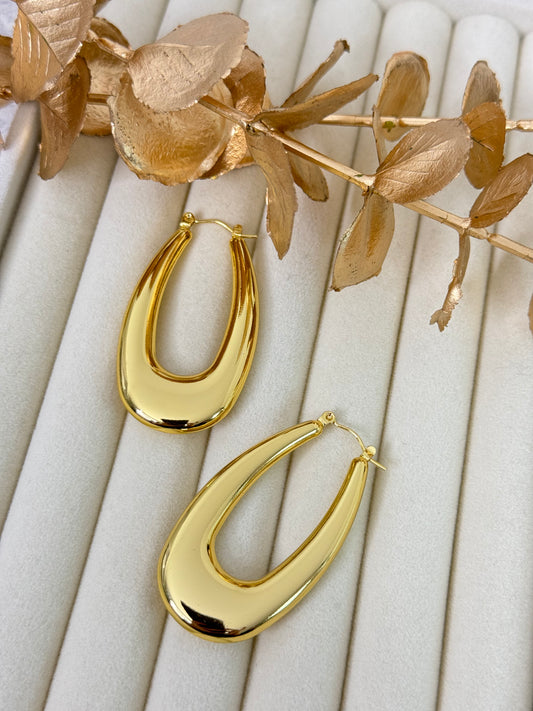 Earrings 1006