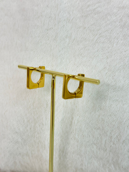 Earrings 1000