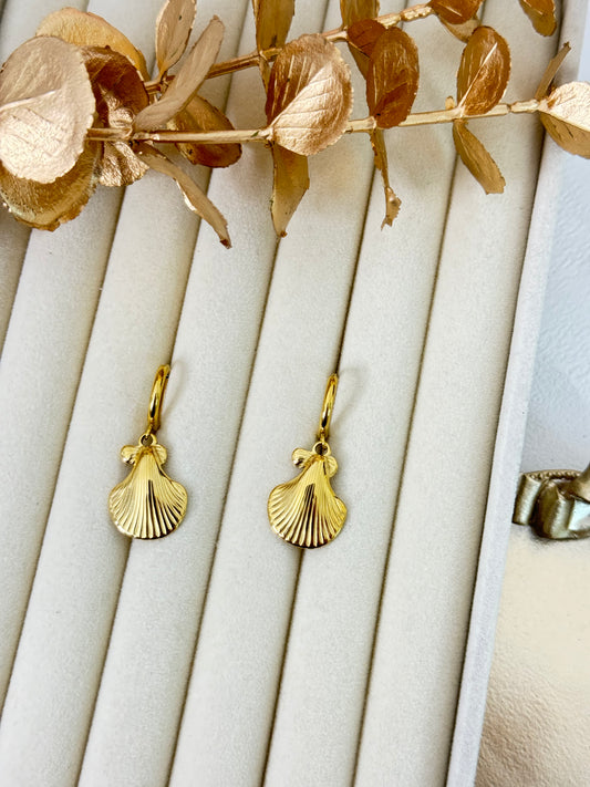 Earrings 996