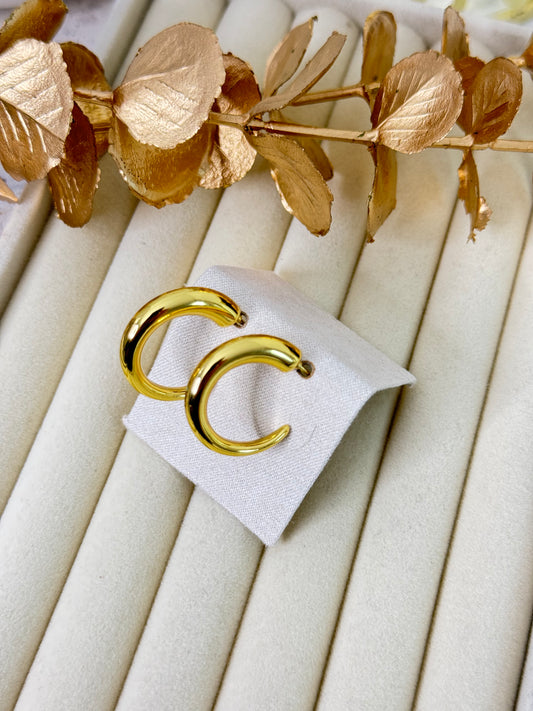 Earrings 995