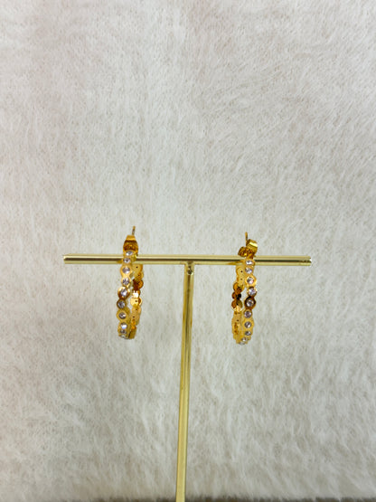 Earrings 994