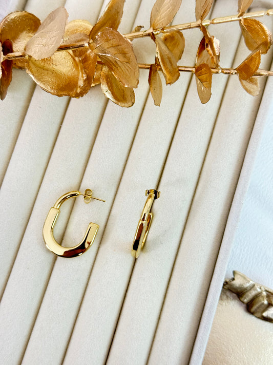 Lock Earrings 991