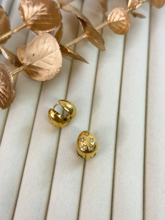 Earrings 1005