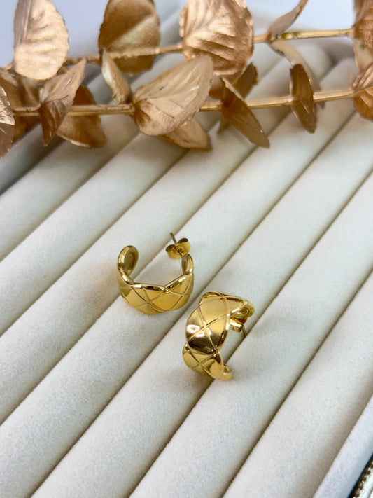 Earrings 1007