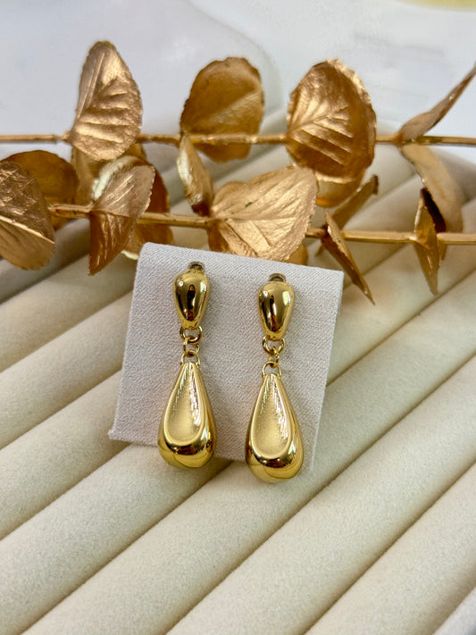 Earrings 1008